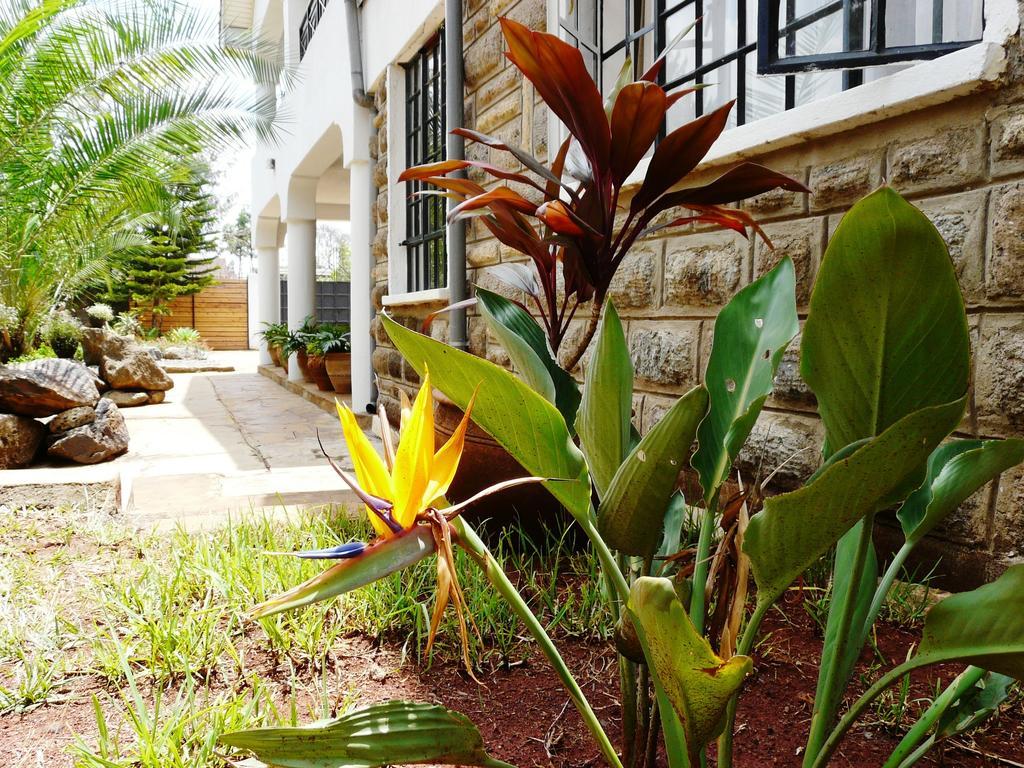 Maison Mitwaba Nairobi Eksteriør bilde